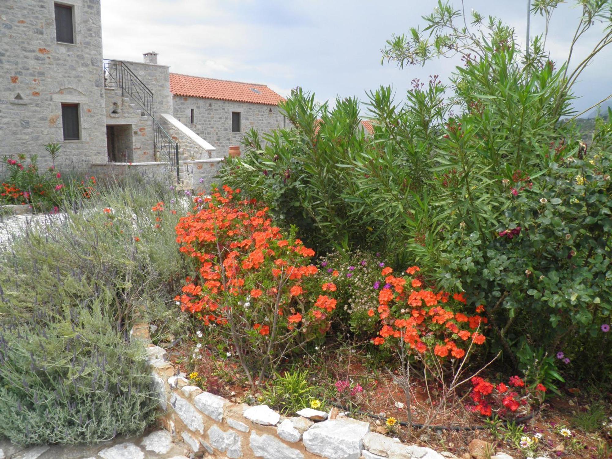 Althea Village Areopoli Exterior photo